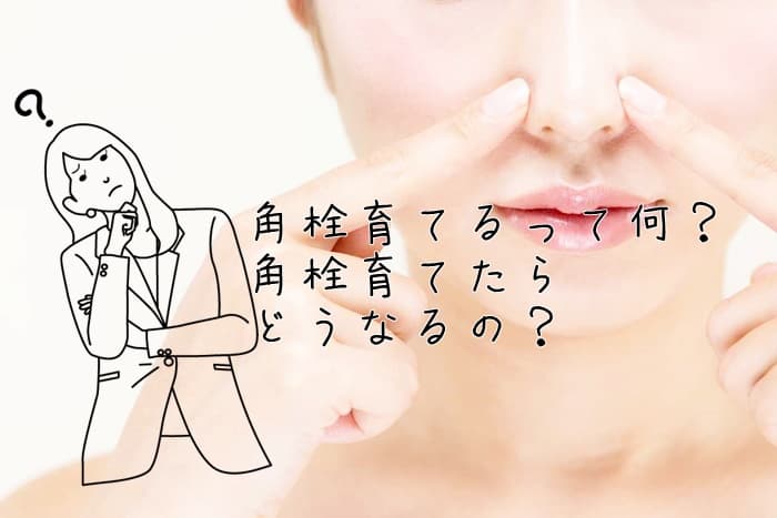 角栓育てるって何？ポロポロ取れるって本当？育て方は？