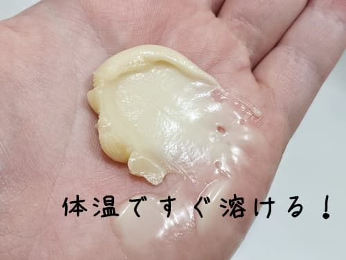手にのせるだけで、体温でとろっと溶けました。