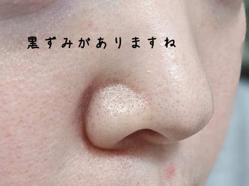 メイク前の鼻の毛穴の状態がこんな感じ
