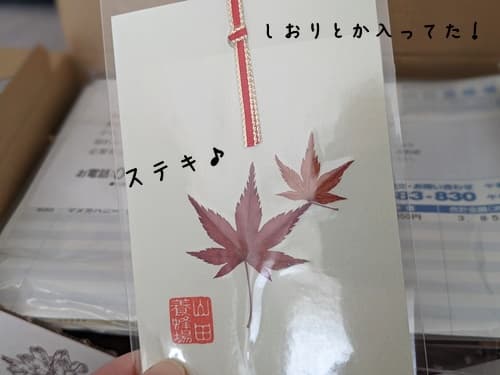 中には、モミジの手作りのしおりが入ってました！
