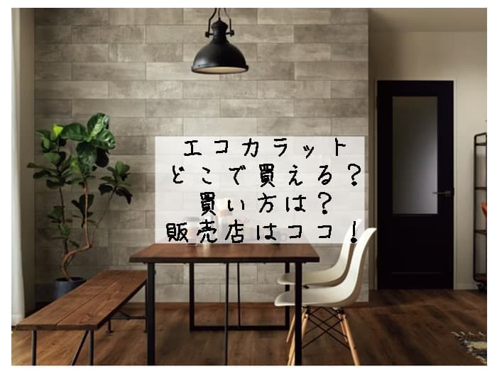 エコカラットはどこで買える？買い方は？販売店はココ！